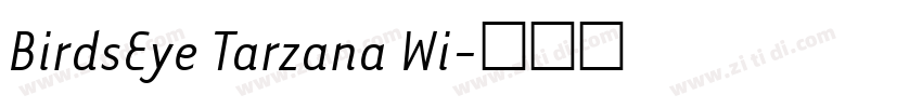 BirdsEye Tarzana Wi字体转换